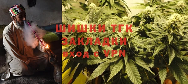 тгк Алзамай